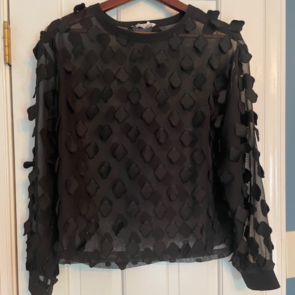 Allison New York Sheer Top Small
